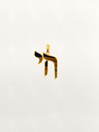Tiger Eye Inlay YOCO Pendant